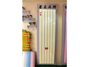 實(shí)景展示